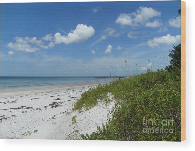 Beach Wood Print featuring the photograph Beautiful Beach Day by Carol Bradley
