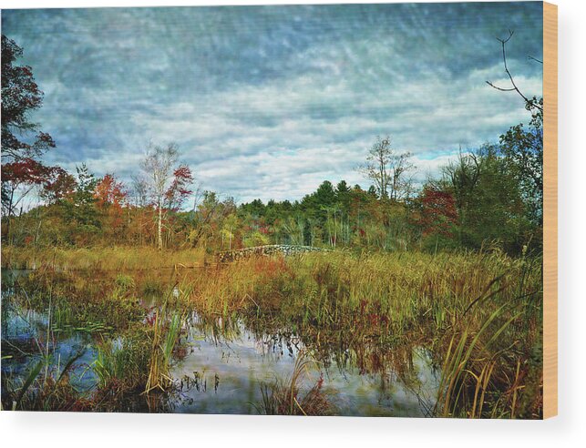 Nature Wood Print featuring the digital art Beautiful day in Fall by Lilia S