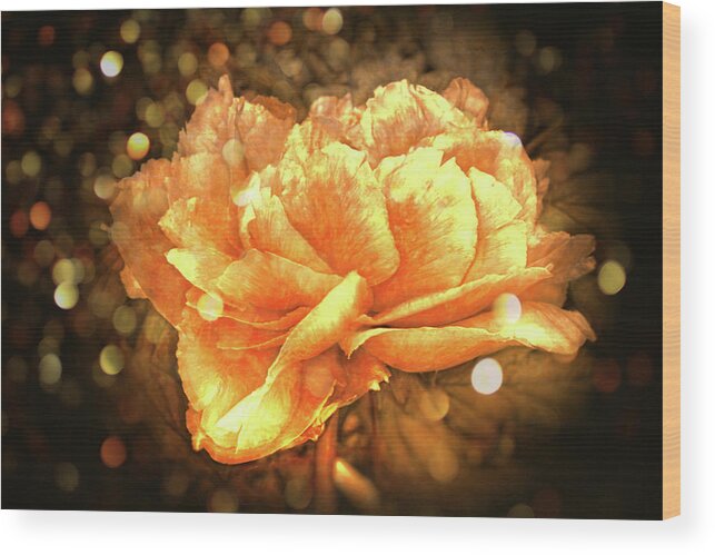 Beautiful Flower Wood Print featuring the digital art Beautiful Flower by Lilia S
