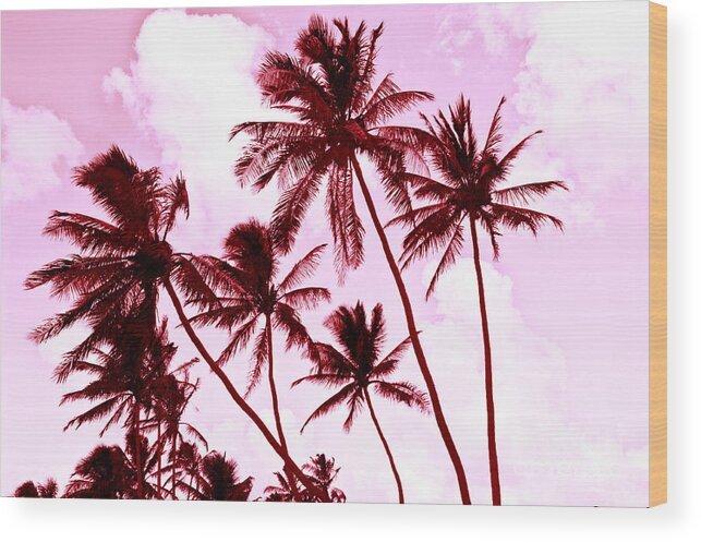 Hawaii Wood Print featuring the photograph Beautiful Palms of Maui 13 by Micah May
