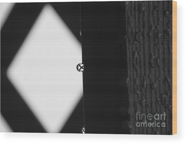 Black And White Wood Print featuring the photograph Beauty in Raindrops 1 by Jennifer E Doll