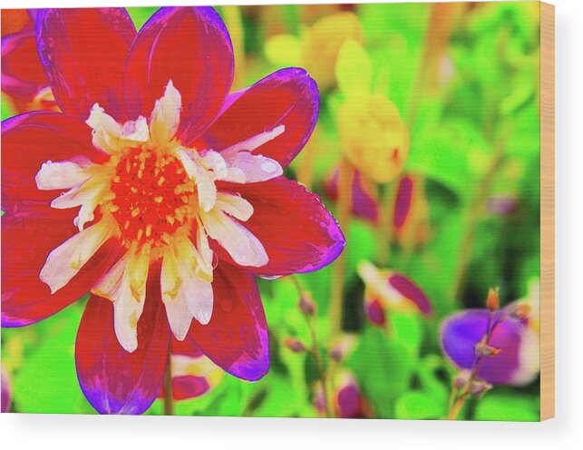 Flowers Wood Print featuring the photograph Beauty Of The Flower by Joe Burns