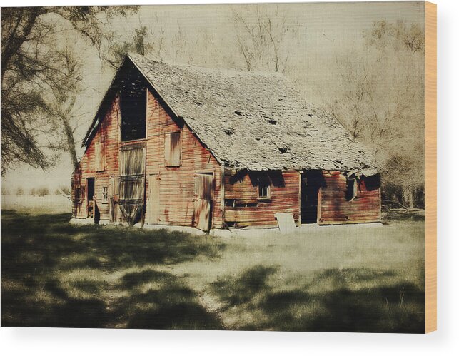 Barn Wood Print featuring the digital art Beckys Barn 1 by Julie Hamilton