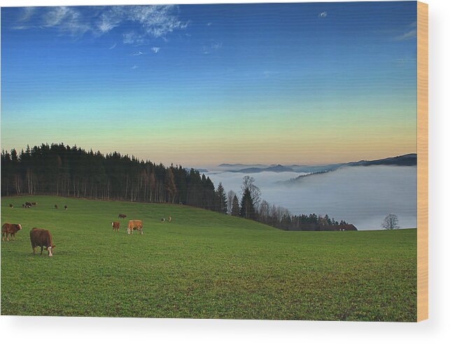 Austria Wood Print featuring the photograph Before Night Falls by Christine Czernin Morzin