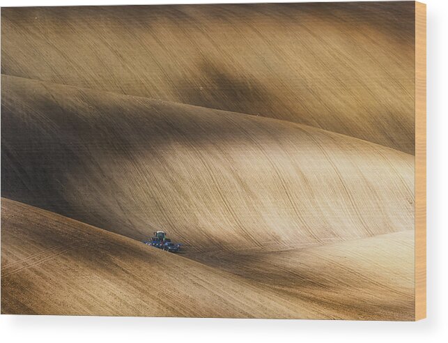 Moravia Wood Print featuring the photograph Before Seeding by Piotr Krol (bax)