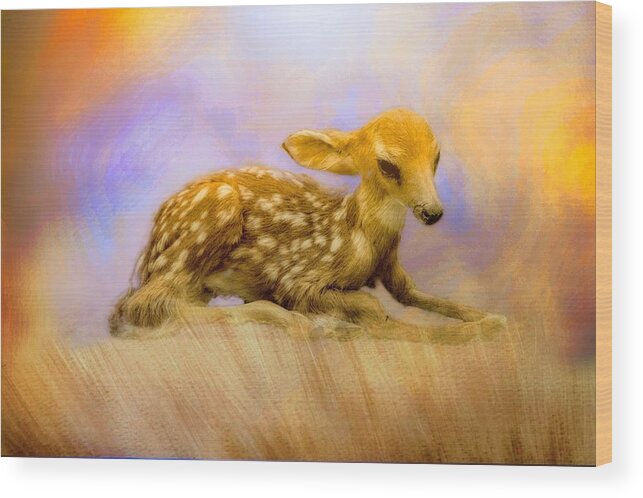 Animal Wood Print featuring the photograph Beginning Fawn by Ches Black