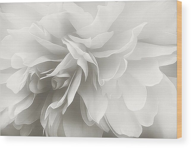 Flower Wood Print featuring the photograph Behind the Veil by Darlene Kwiatkowski