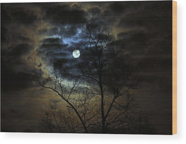 Full Moon Wood Print featuring the photograph Bella Luna by Suzanne Stout