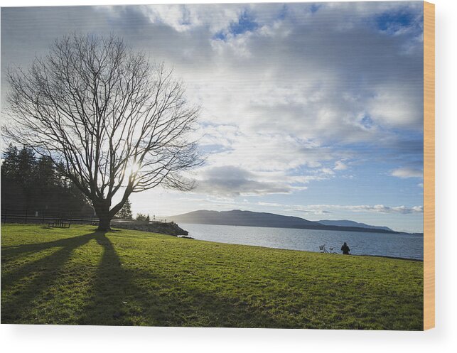 Bellingham Wood Print featuring the photograph Bellingham Winter at Marine Park by Matt McDonald