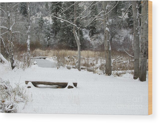 Scenery Wood Print featuring the digital art Bench at Beaver Pond by Mellissa Ray