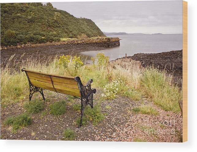 Bench Wood Print featuring the photograph Bench at the bay by Elena Perelman