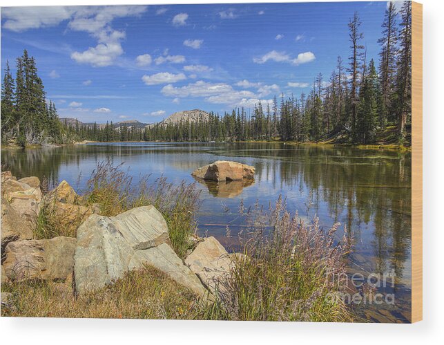 Bench Wood Print featuring the photograph Bench Lake by Spencer Baugh