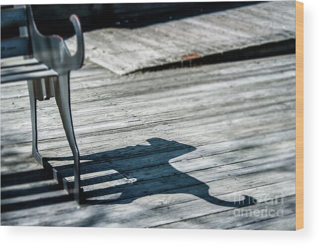 Bench Wood Print featuring the photograph Bench Shadow by Michael James