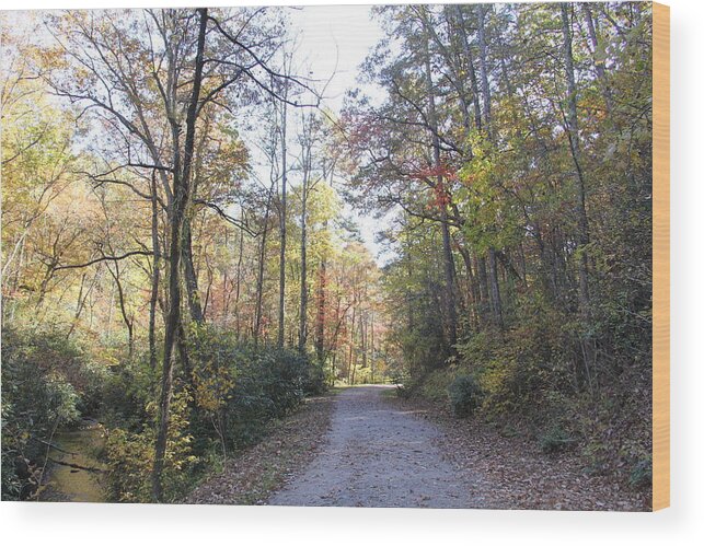 Road Wood Print featuring the photograph Bent Creek Road by Allen Nice-Webb