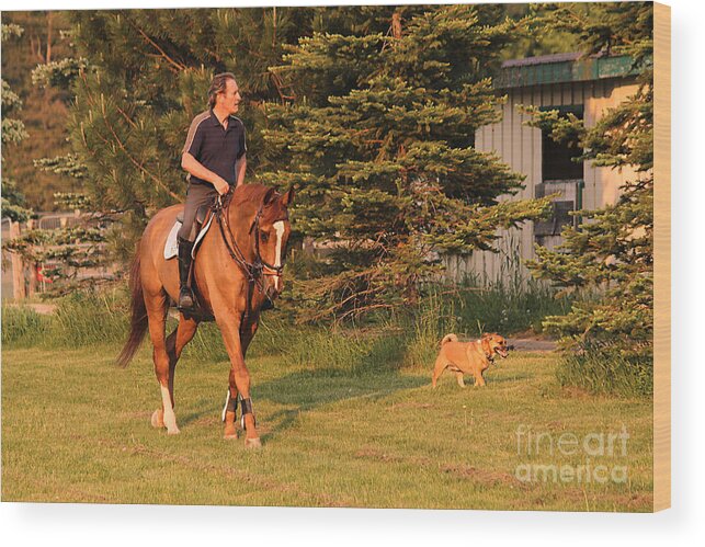 Equestrian Wood Print featuring the photograph Best Friends by Life With Horses