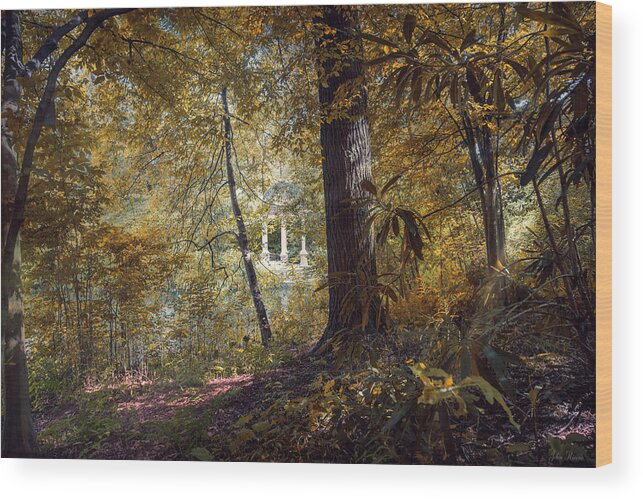 Forest Gazebo Wood Print featuring the photograph Beyond the Forest by John Rivera