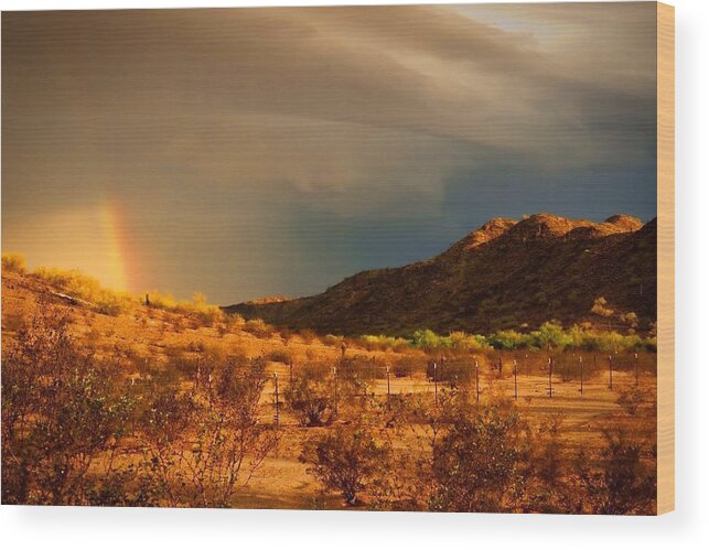 Arizona Wood Print featuring the photograph Beyond the Rainbow by Judy Kennedy