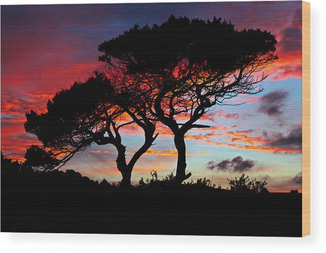Sunset Wood Print featuring the photograph Beyond The Trees by Ally White