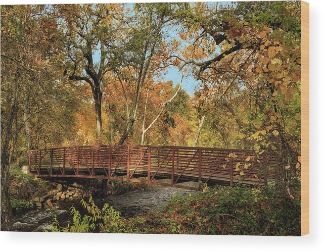 Bridge Wood Print featuring the photograph Bidwell Park Bridge In Chico by James Eddy