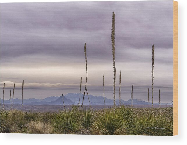 Texas Landscapes Wood Print featuring the photograph Big Bend Vista by Wendell Thompson