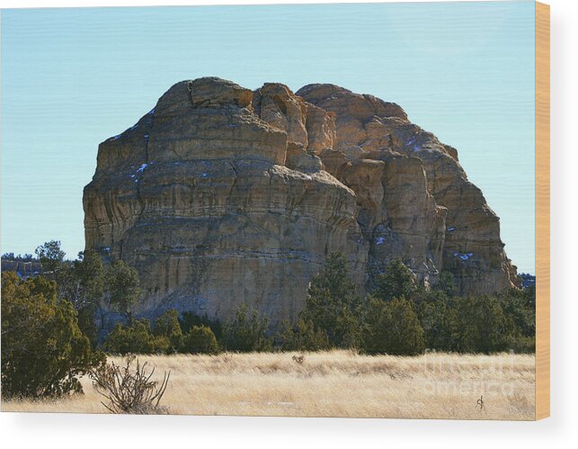 Southwest Landscape Wood Print featuring the photograph Big frickin rock by Robert WK Clark