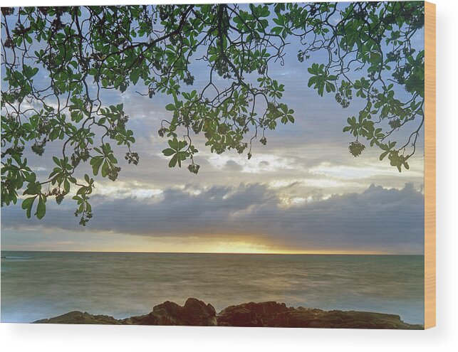 Big Island Wood Print featuring the photograph Big Island Sunset by Christopher Johnson