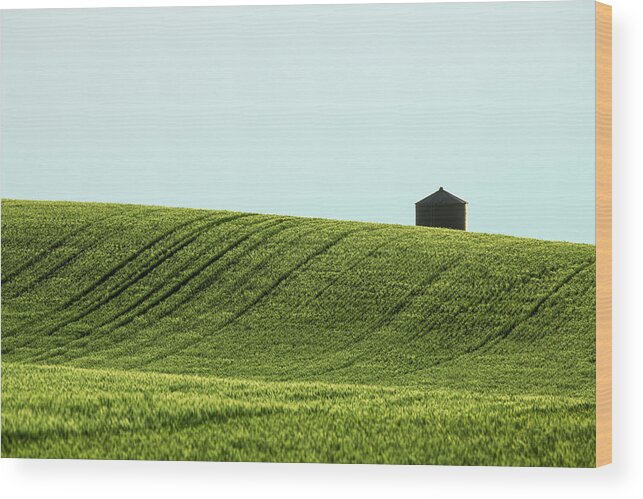 Bin Wood Print featuring the photograph Big Sag Wheat by Todd Klassy