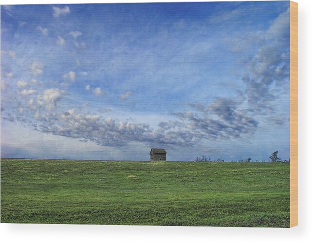 Landscape Wood Print featuring the photograph Big Sky by Ed Hall