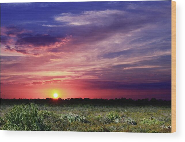 Sunset Wood Print featuring the photograph Big Texas Sky by Laura Fasulo