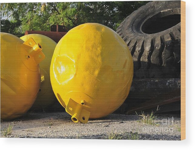 Yellow Wood Print featuring the photograph Big Yellow Balls by David Lee Thompson