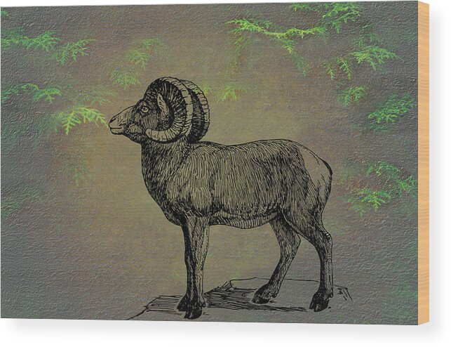 Bighorn Sheep Wood Print featuring the mixed media Bighorn Sheep by Movie Poster Prints