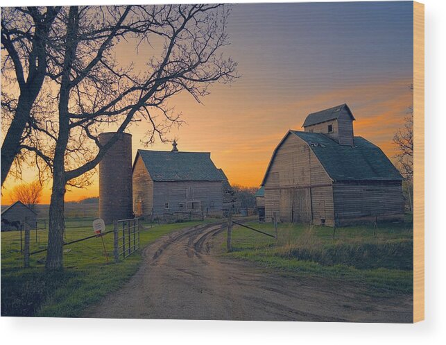 Rustic Wood Print featuring the photograph Birch Barn 2 by Bonfire Photography