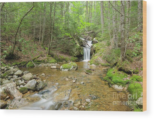 Backcountry Wood Print featuring the photograph Birch Island Brook - Lincoln, New Hampshire by Erin Paul Donovan