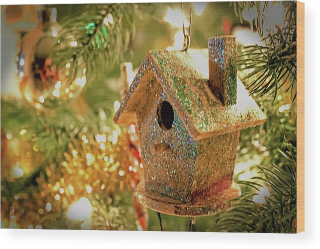 Christmas Wood Print featuring the photograph Birdhouse Ornament by Ira Marcus