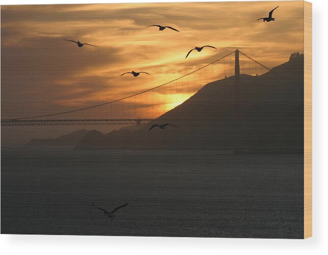 Golden Gate Bridge Wood Print featuring the photograph Birds by the Bay by Jeff Floyd CA
