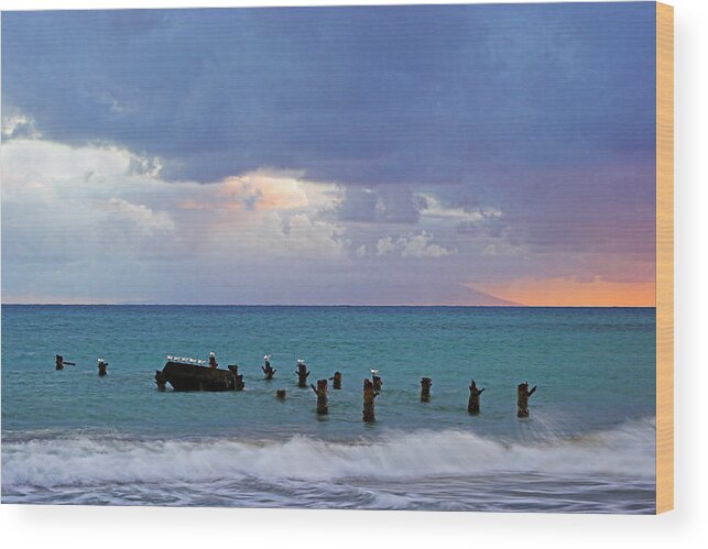 Birds Wood Print featuring the photograph Birds on Old Jetty- St Lucia by Chester Williams