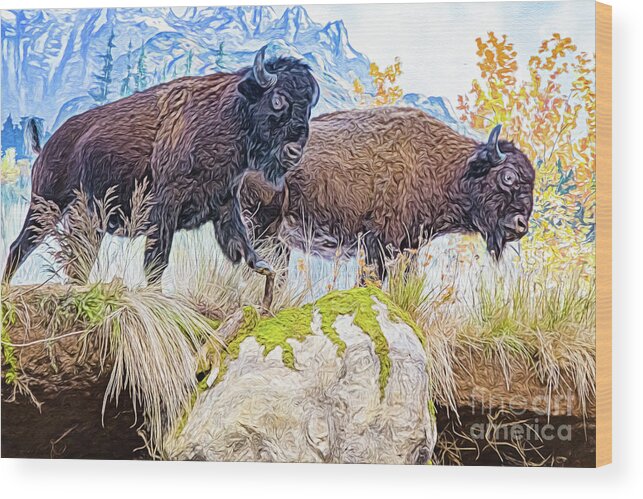 Animal Wood Print featuring the digital art Bison Pair by Ray Shiu