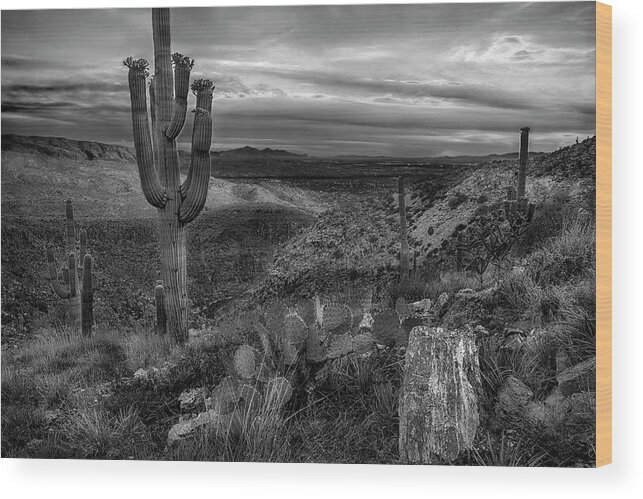 Tucson Catalina Wood Print featuring the photograph Black and White image of the Catalina Mountains near Tucson AZ by Dave Dilli