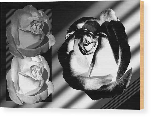 Roses Wood Print featuring the photograph Black And White Roses by Phyllis Denton