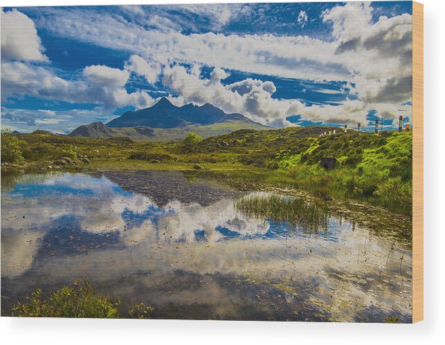 Mountain Wood Print featuring the photograph Black Cuillins And Pond by Steven Ainsworth