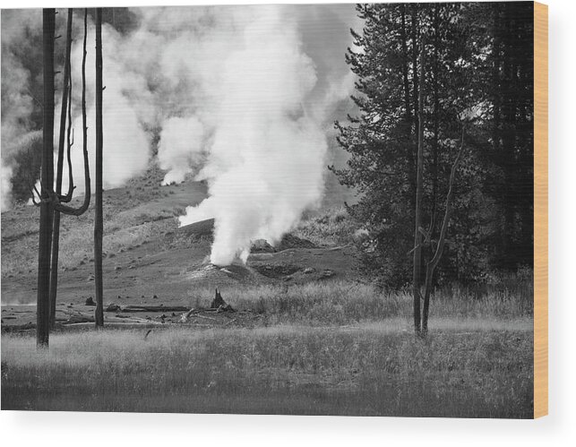Yellowstone River Wood Print featuring the photograph Black Growler in Black and White by Bruce Gourley