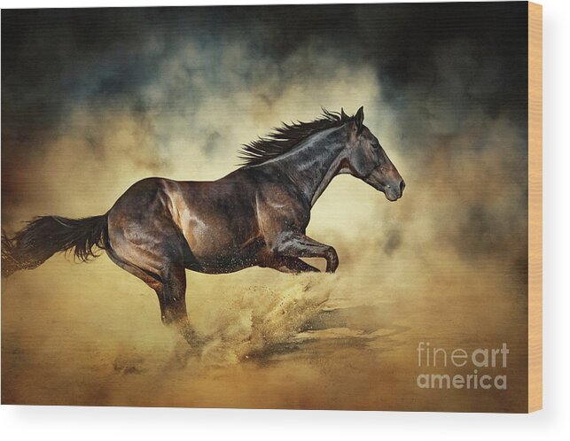 Horse Wood Print featuring the photograph Black Stallion horse Galloping like a devil by Dimitar Hristov