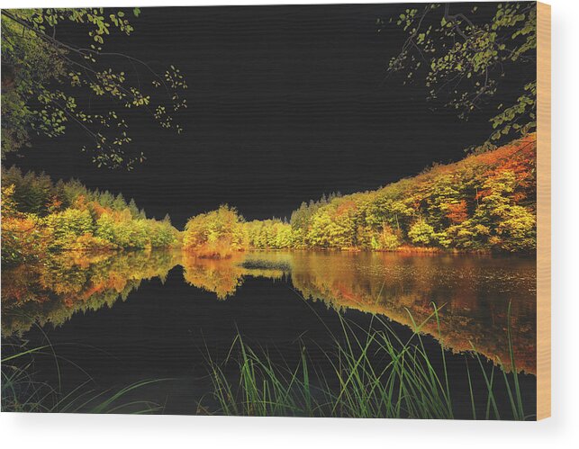 Landscape Wood Print featuring the photograph Black Tears by Philippe Sainte-Laudy