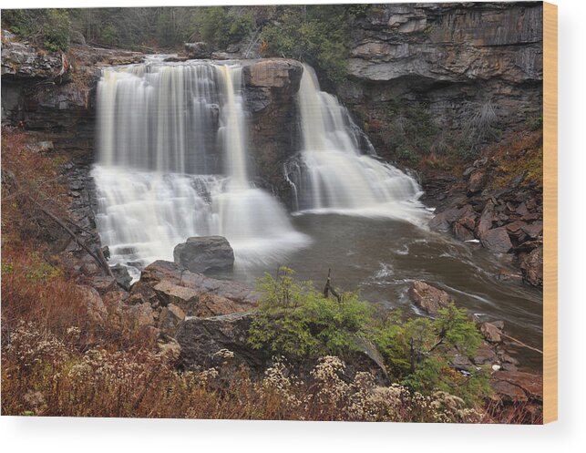 Water Falls Wood Print featuring the photograph Blackwater Falls by Dung Ma