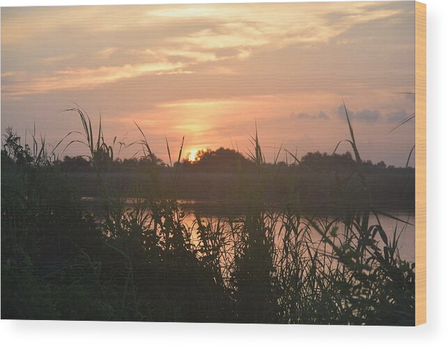 Photography Wood Print featuring the photograph Blacks Bayou on National Photographers Day by John Glass