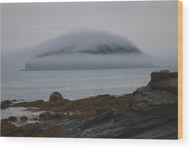 Harbor Wood Print featuring the photograph Blanket Of Fog by Living Color Photography Lorraine Lynch