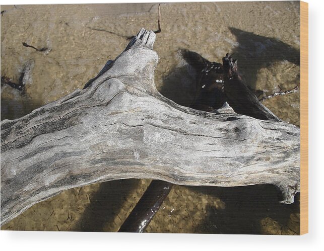 Driftwood Wood Print featuring the photograph Bleached Driftwood by Mary Haber