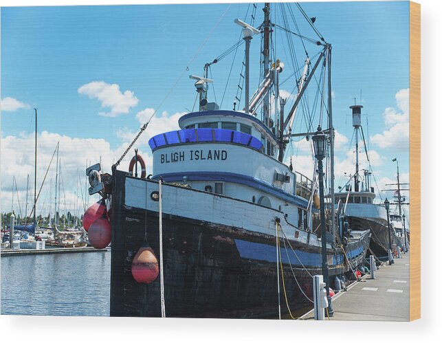 Bligh Island Fishing Trawler Wood Print featuring the photograph Bligh Island Fishing Trawler by Tom Cochran