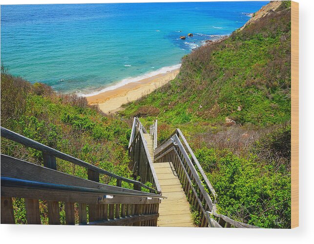 Mohegan Bluffs Wood Print featuring the painting Block Island Art by Lourry Legarde