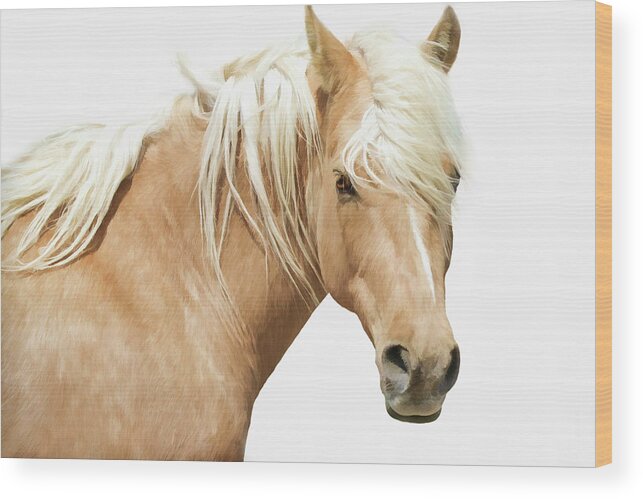 Horse Wood Print featuring the photograph Blonde Stallion by Athena Mckinzie